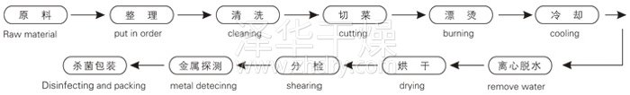 脱水蔬菜带式干燥工艺流程